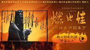 **视频丨ⅴk